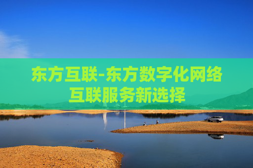 东方互联-东方数字化网络互联服务新选择