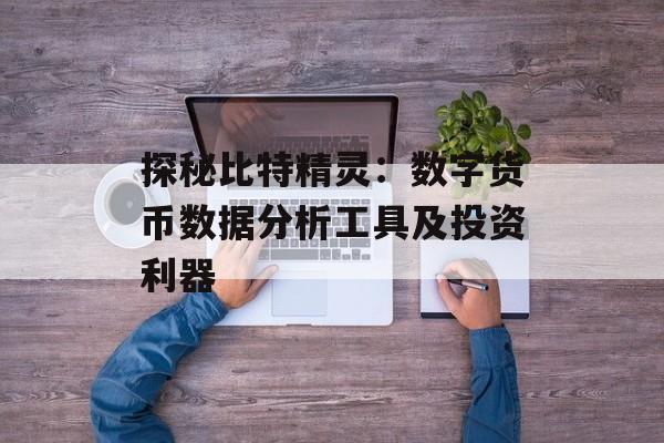 探秘比特精灵：数字货币数据分析工具及投资利器